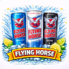 Flying Horse